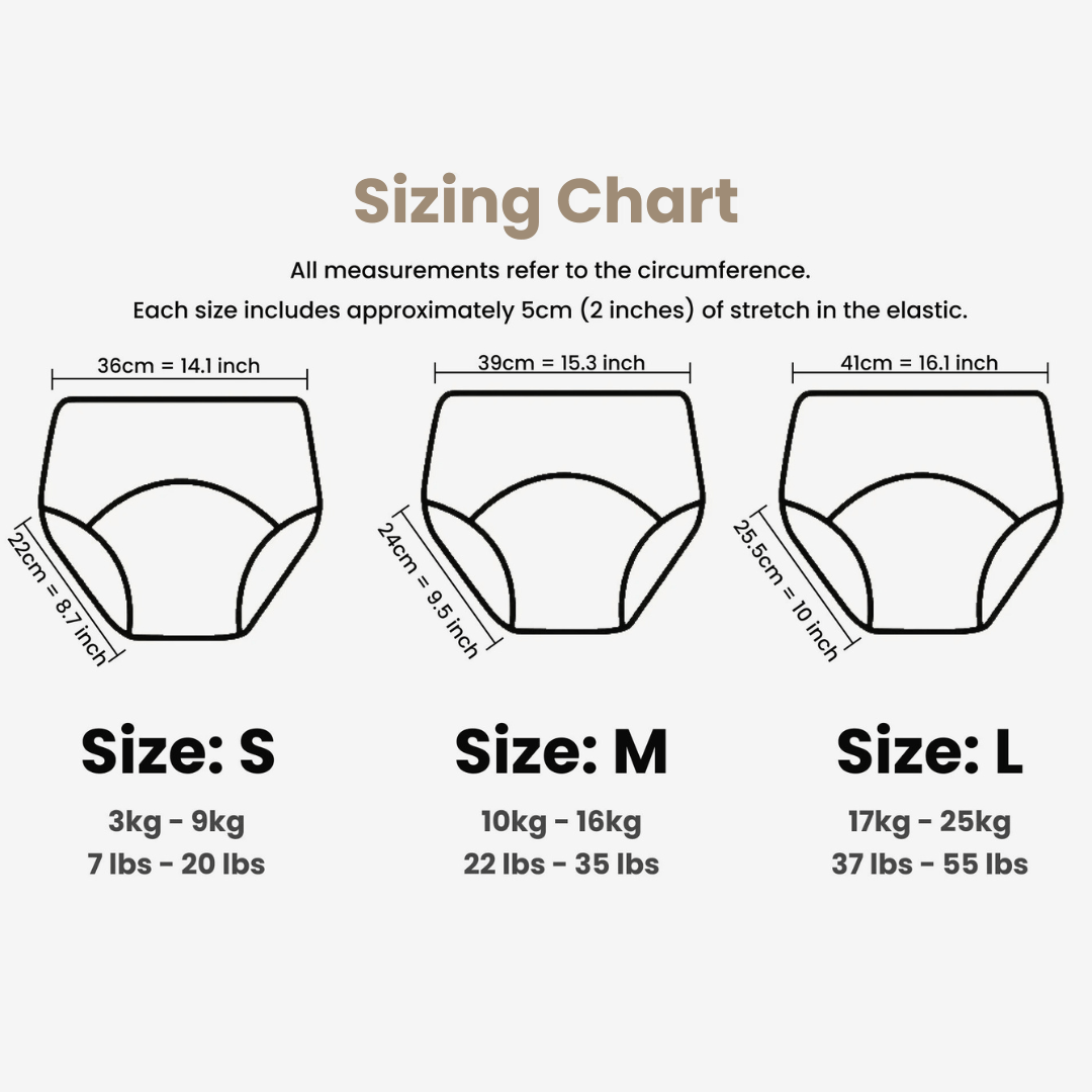 Potty Training Underwear