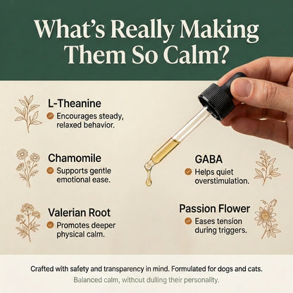 Chill the Fur Down™ Calm Drops