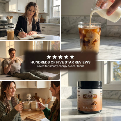 MycoVéda™ Mushroom Protein Coffee